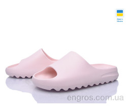 Шлепки Golden Lion